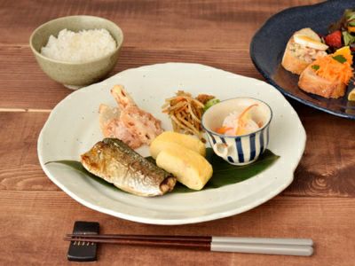 パスタ皿や主菜皿など、食卓の主役にふさわしい存在感！和のディナー