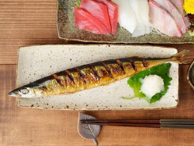 焼き魚　皿　焼魚　長皿　織部焼　角皿　懐石皿　先付　刺身皿　天麩羅　皿　天ぷら 焼き魚 皿 焼魚 長皿 織部焼 角皿 懐石皿 先付 刺身皿 天麩羅