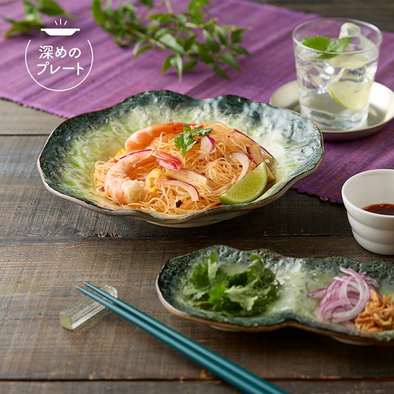 白マット釉　プレート　カレー皿　２客 料理を劇的におしゃれに！モダンな白マットのEASTブランドの食器